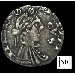 Medio Grosso de Federico II...
