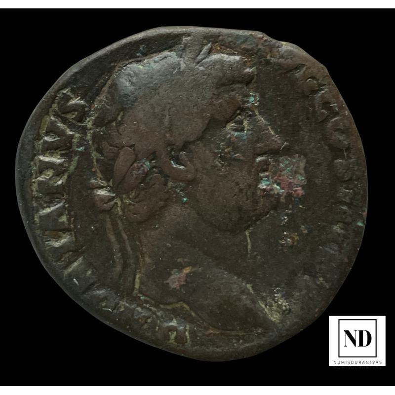 Sestercio de Adriano  - 117-138 d.C - 23,95g Cu